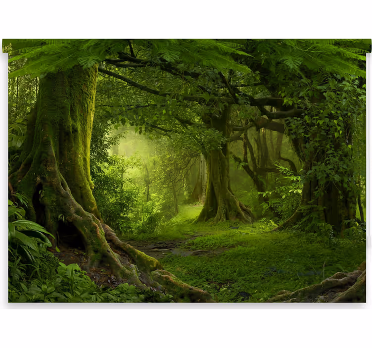 Lush woodland escape tree roller blind - TenStickers