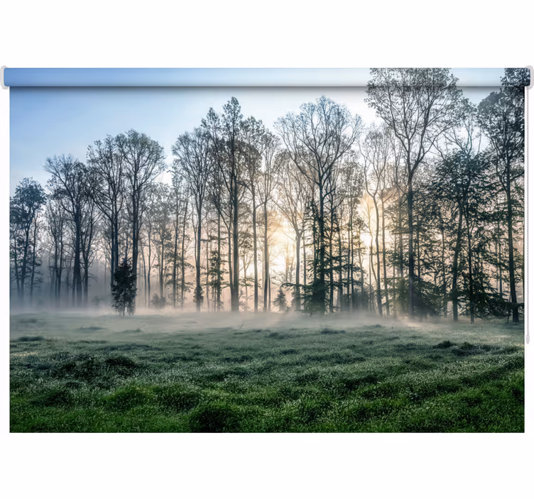 Tree roller blind misty morning meadow - TenStickers