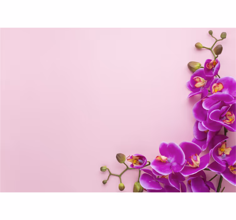 Kitchen roller blind in pink orchid design - TenStickers
