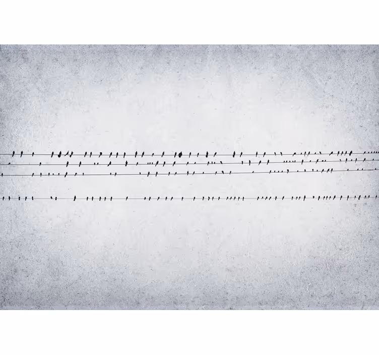 White roller blind birdsong on a wire - TenStickers