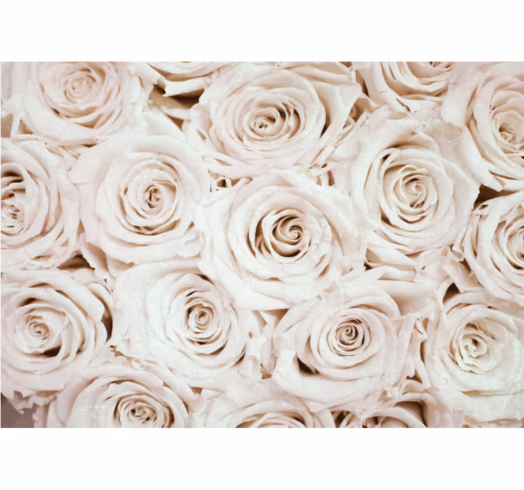 White roller blind with elegant pink flower design - TenStickers