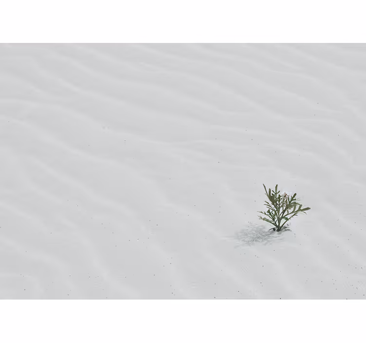 White roller blind in white desert sand - TenStickers