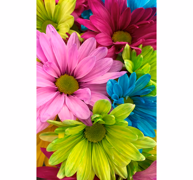 Colorful flowers living room roller blind - TenStickers