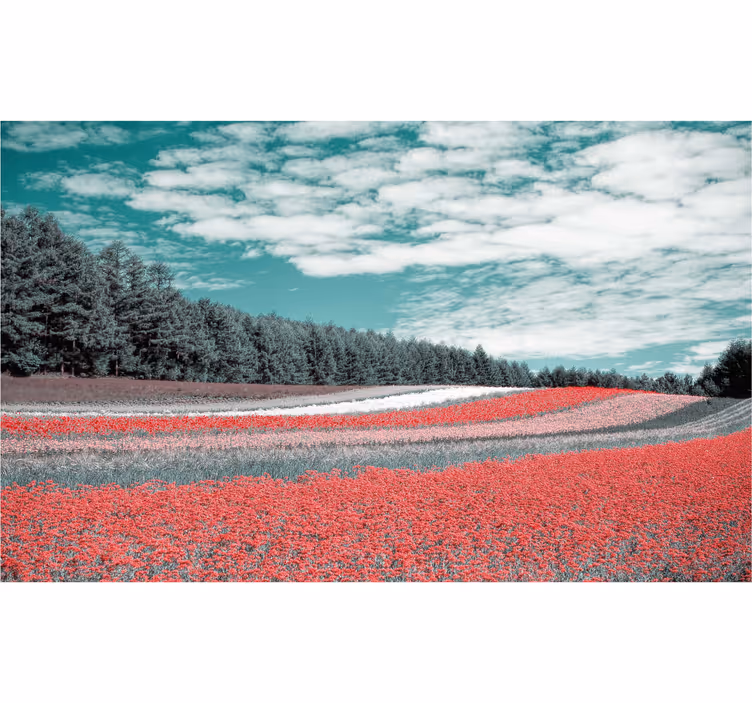 Living room roller blind wildflower meadow - TenStickers