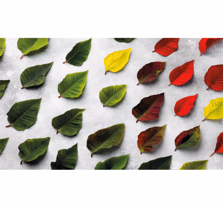 Living room roller blind top view colorful leaves - TenStickers