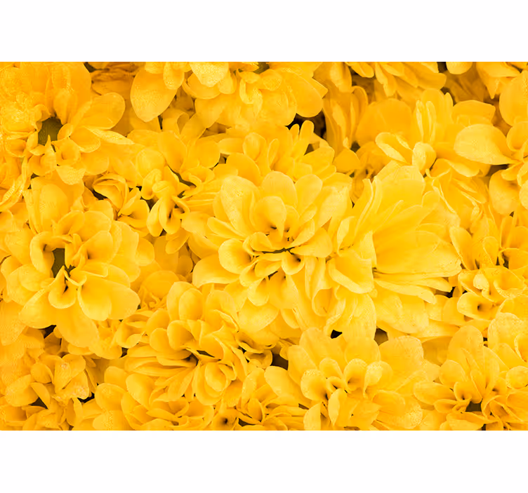 Yellow roller blind with floral petals design - TenStickers