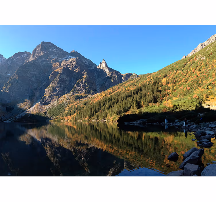 Green roller blind morskie oko in spring - TenStickers