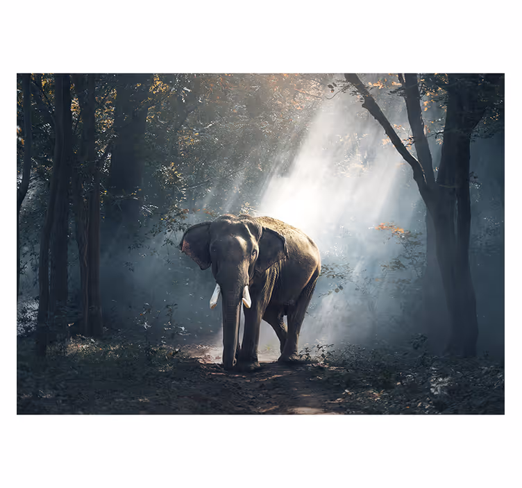 Living room roller blind elephant in forest - TenStickers