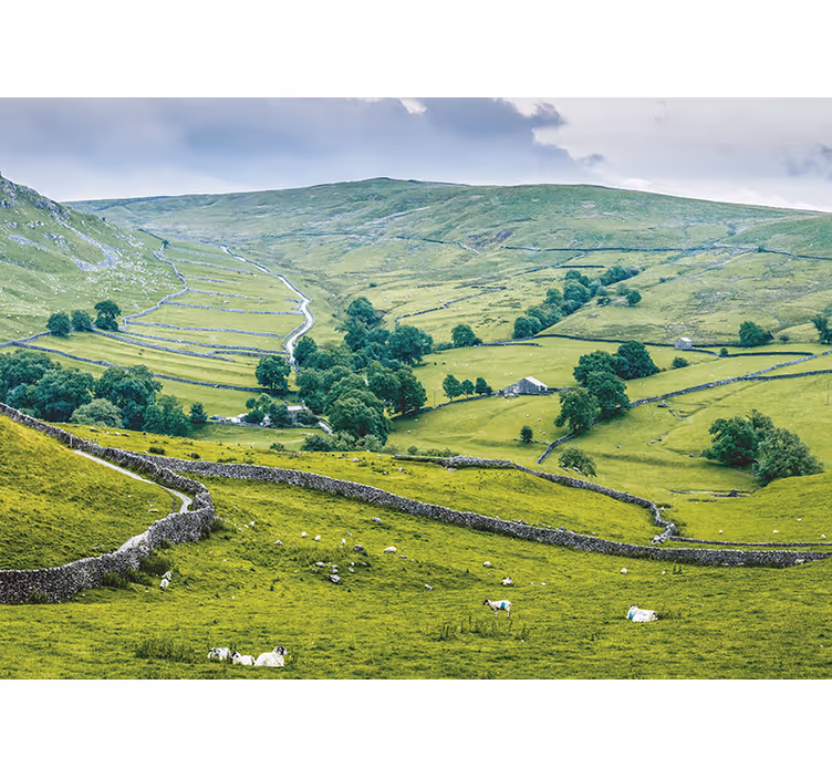 Living room roller blind english countryside style - TenStickers