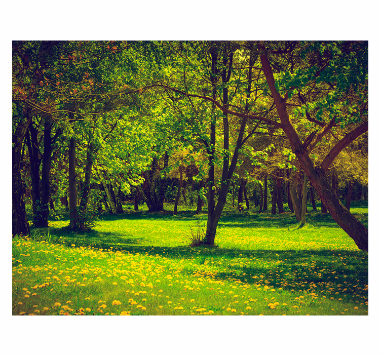 Living room roller blind serene forest view - TenStickers