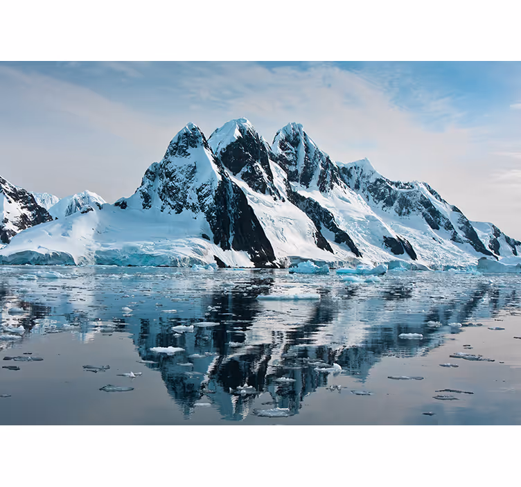 Living room roller blind 3d hidden iceberg design - TenStickers