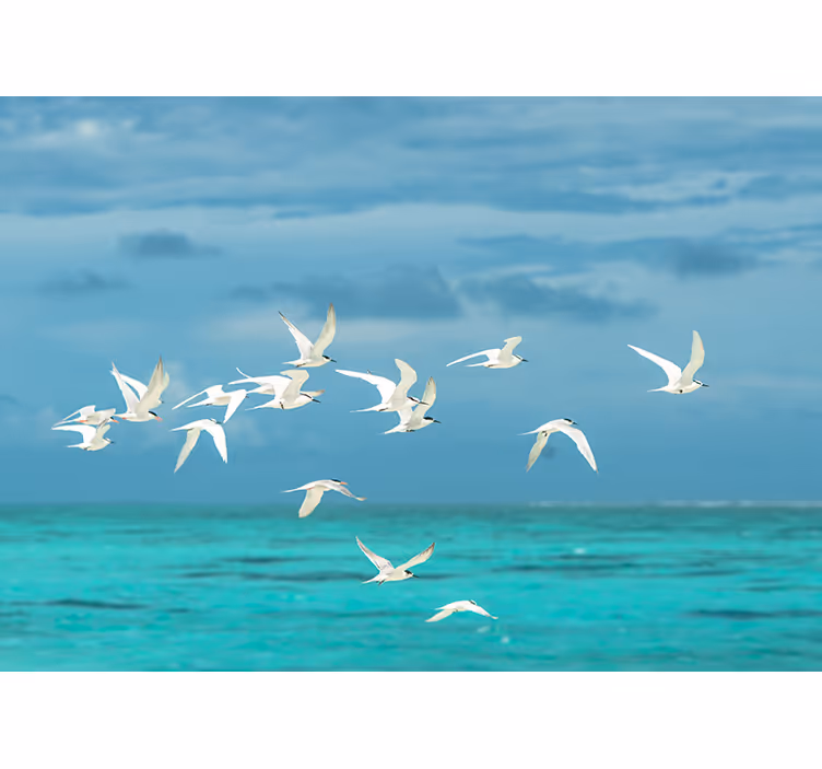 Living room roller blind with soaring birds design - TenStickers