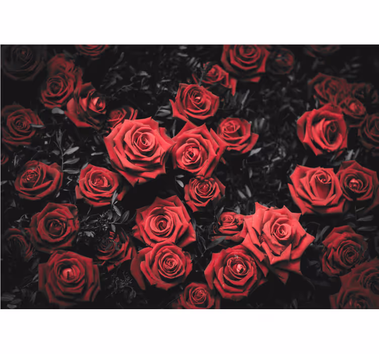 Living room roller blind in black and white with red roses - TenStickers
