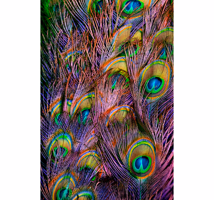 Living room roller blind peacock feather design - TenStickers