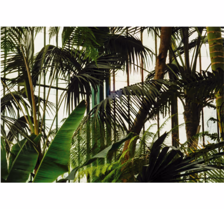 Living room roller blind for green wall plants - TenStickers