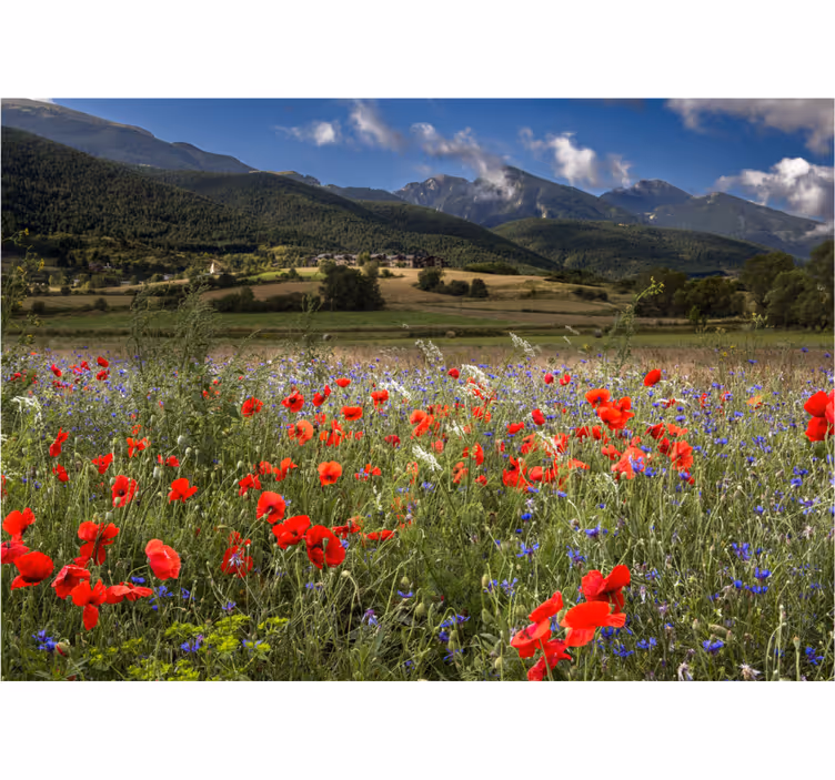 Living room roller blind floral prairie field - TenStickers