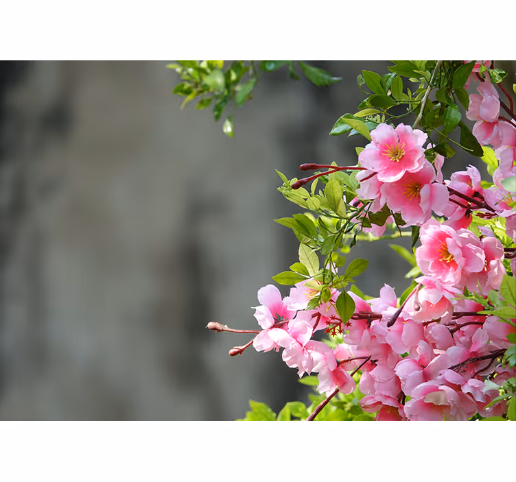 Living room roller blind with 3d pink flowers - TenStickers