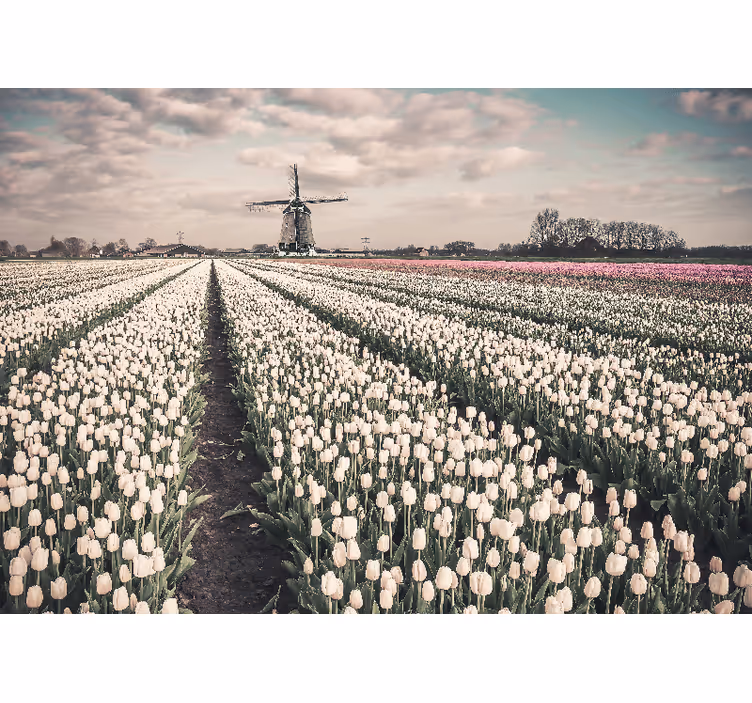 Living room roller blind tulip field with windmill - TenStickers