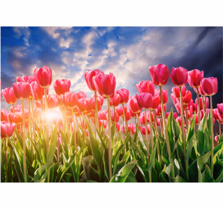 Living room roller blind floral sunset - TenStickers