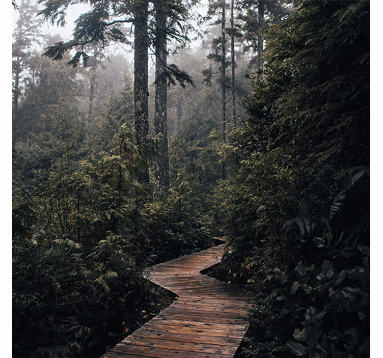 Living room roller blind forest nature path - TenStickers