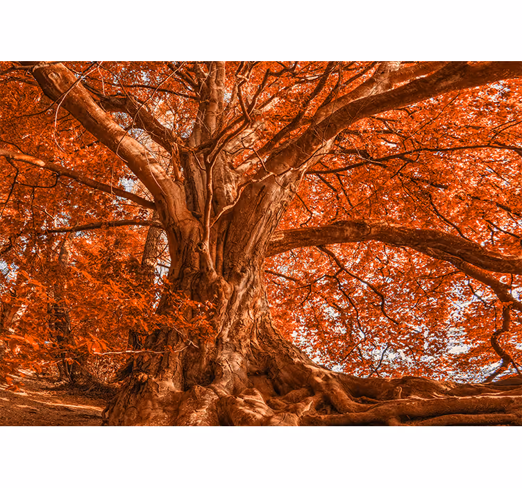 Living room roller blind big beautiful autumn tree - TenStickers