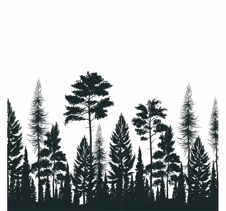 Living room roller blind pine trees silhouette - TenStickers
