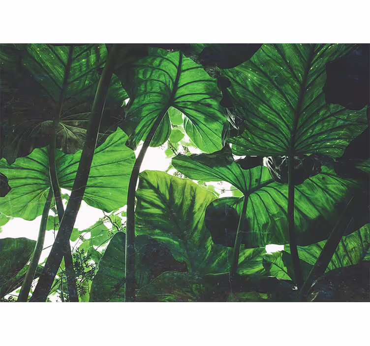 Living room roller blind beautiful green rainforest design - TenStickers
