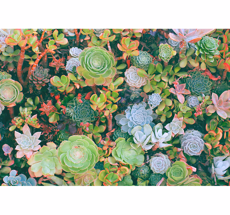 Bedroom roller blind with multicolor tropical leaves - TenStickers