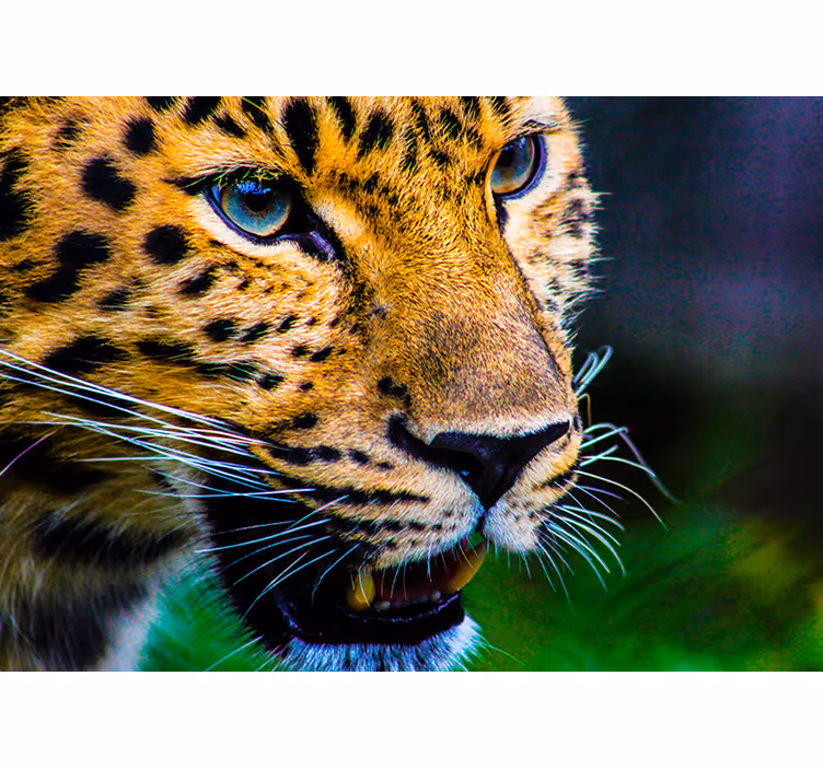 Bedroom roller blind leopard face design - TenStickers