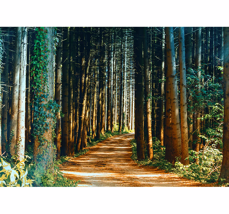 Living room roller blind beautiful nature path gate - TenStickers