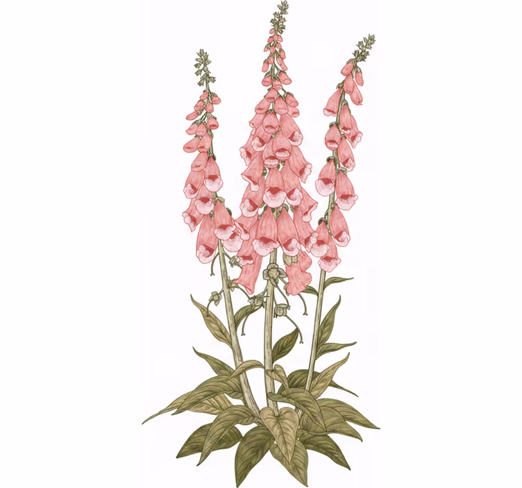 Living room roller blind with pink flowers design - TenStickers