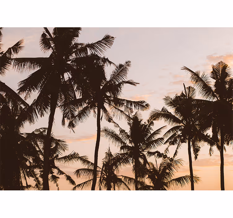 Bedroom roller blind sunset palm tree - TenStickers