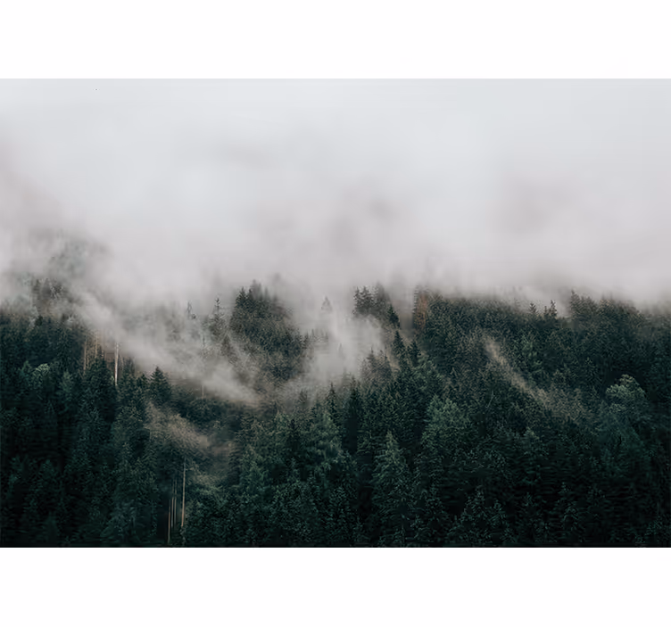 Bedroom roller blind forest misty clouds - TenStickers