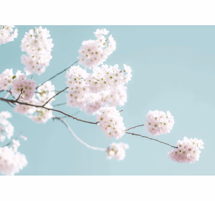 White roller blind with elegant floral design - TenStickers