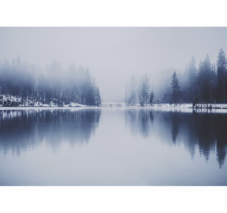 White roller blind winter foggy forest - TenStickers