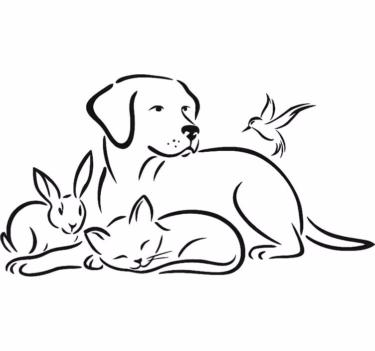 White roller blind pets wall sticker - TenStickers