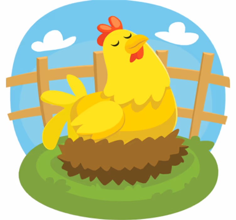 Children room roller blind laying hen design - TenStickers