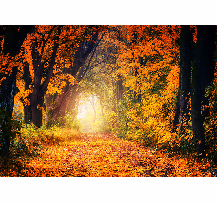 Bedroom roller blind autumn colorful forest design - TenStickers