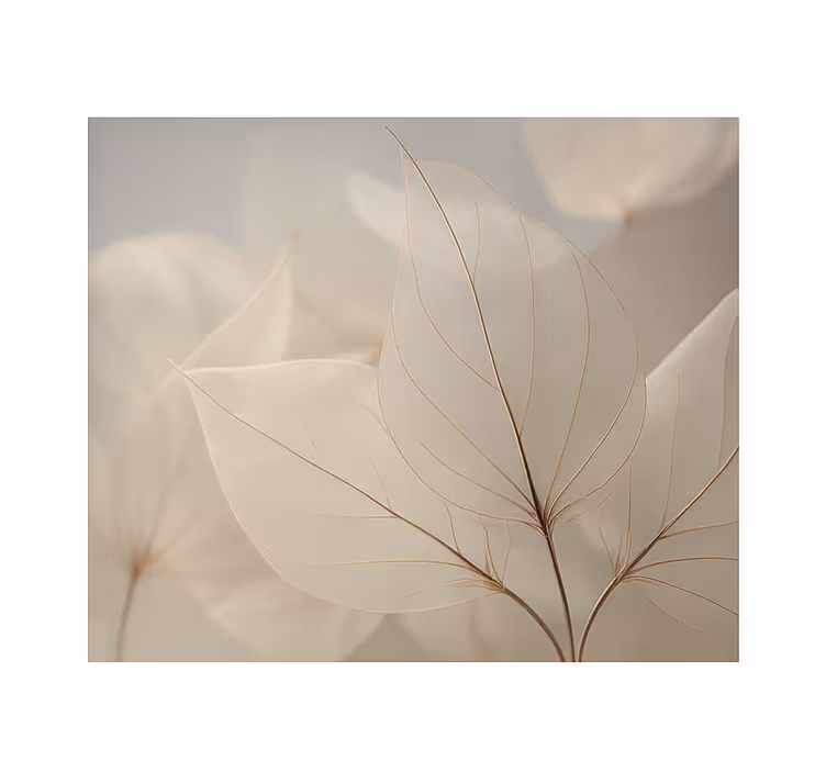Living room roller blind with white skeletal leaves - TenStickers
