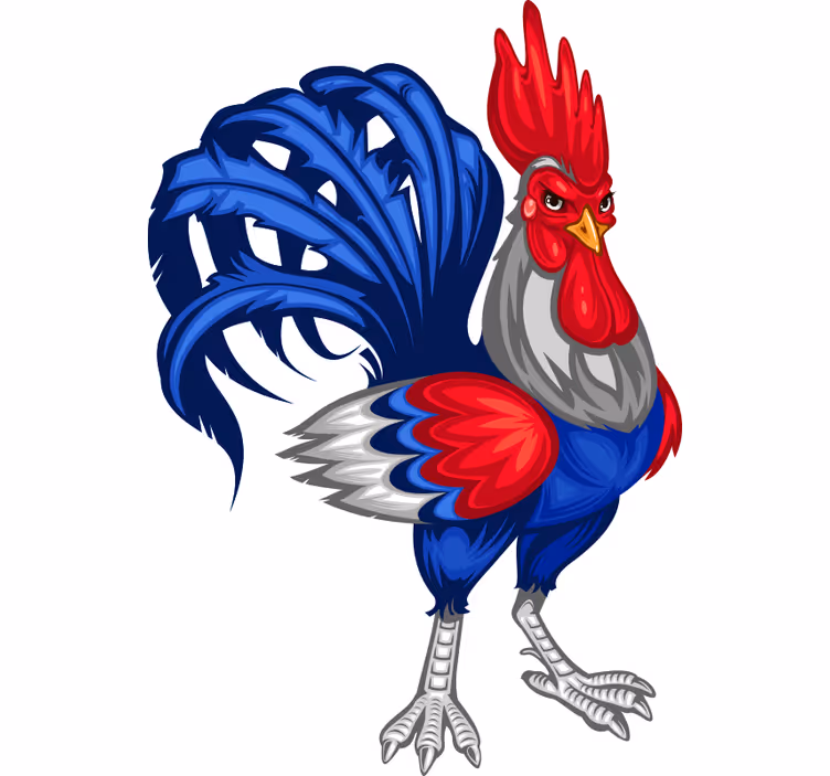 Teenage bedroom roller blind french rooster decal - TenStickers