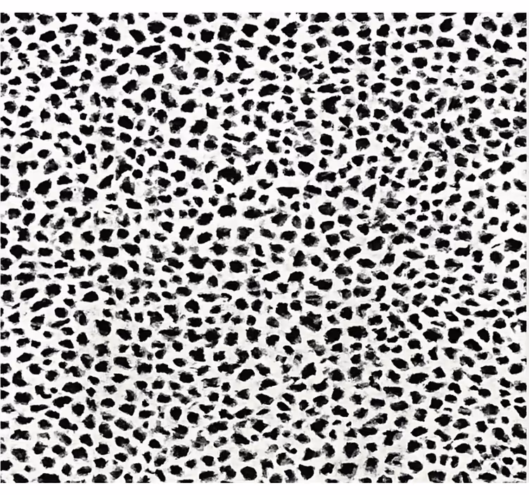 Black roller blind monochrome leopard print - TenStickers