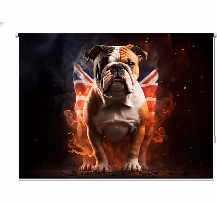 Teenage bedroom roller blind british bulldog ablaze - TenStickers