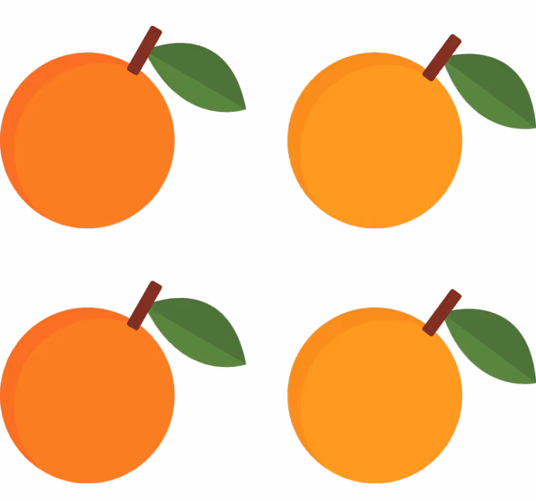 Orange roller blind elegant oranges stickers pack - TenStickers