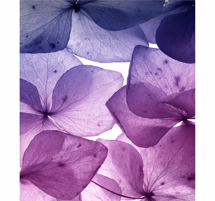 Purple roller blind with floral joy and tranquility - TenStickers