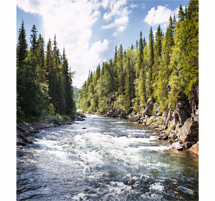 Living room roller blind lake in the forest - TenStickers