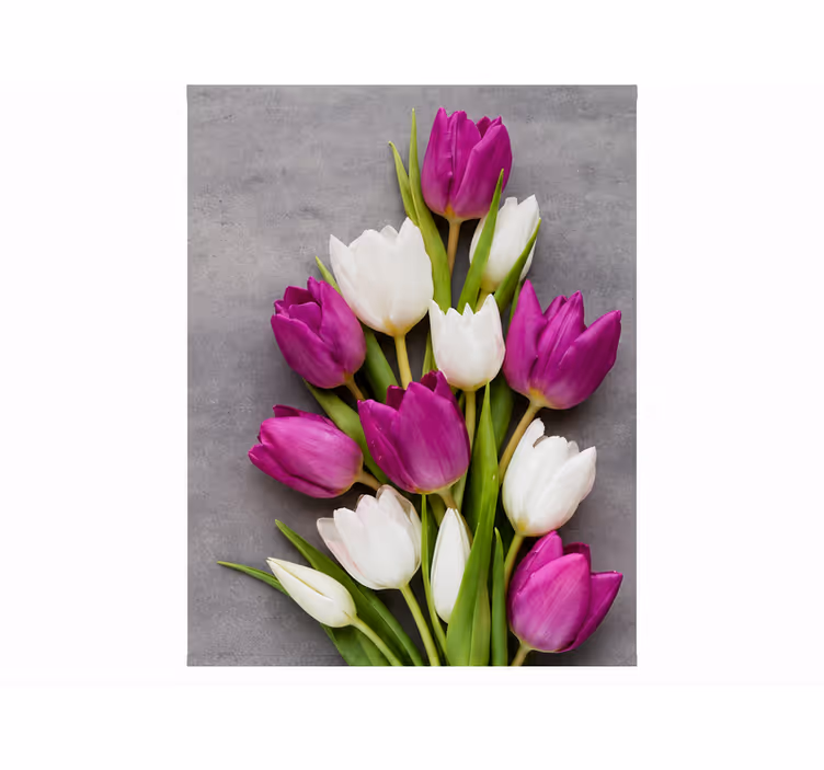 Purple roller blind with real tulips design - TenStickers