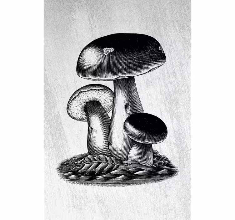 Mushroom Elegance flowers and plants roller blind - TenStickers