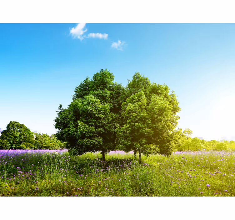 Lush Greenery Scene tree roller blind - TenStickers