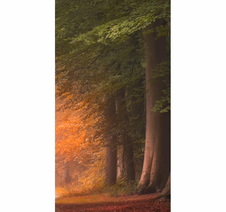 Deep fantastic forest Original roller blind - TenStickers