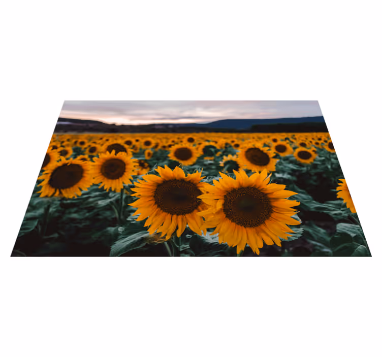 Sunflower field elegant placemats - TenStickers